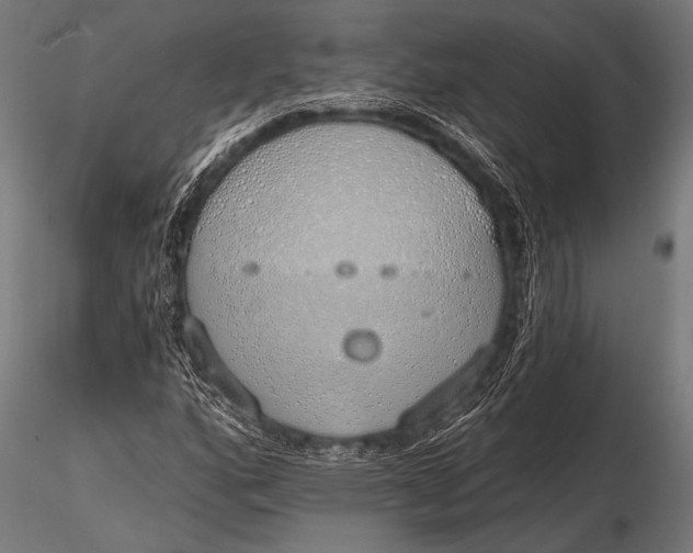 X0000116111160200912141013