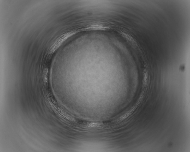 X0000116111161200912141013