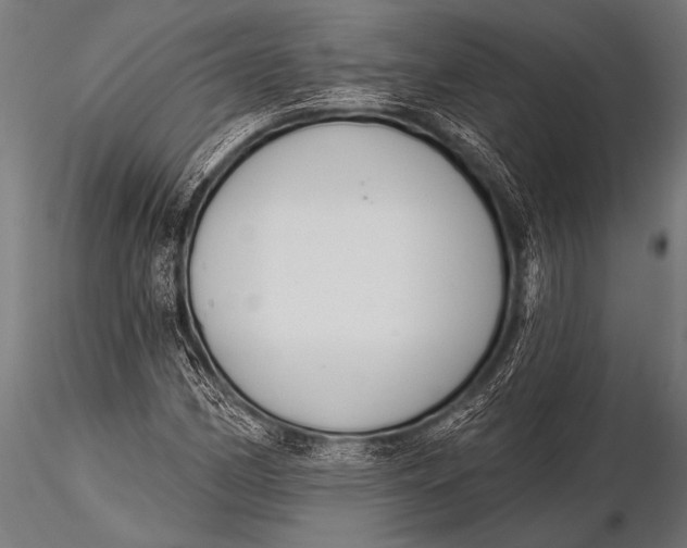 X0000116111162200912141013