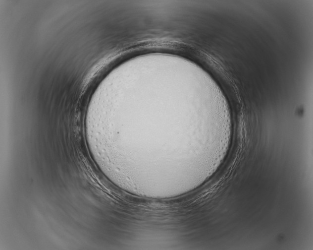 X0000116111164200912141013