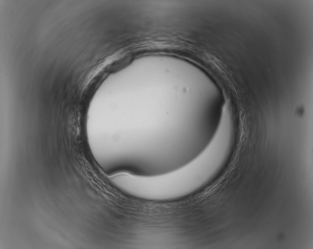 X0000116111165200912141013