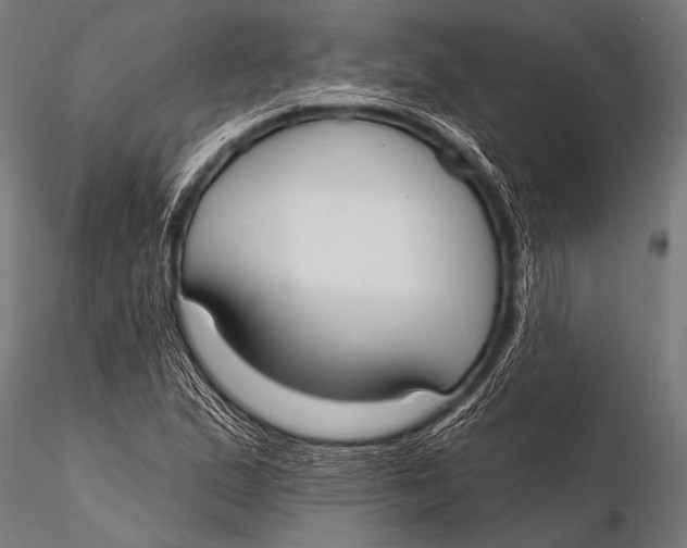 X0000116111167200912141013