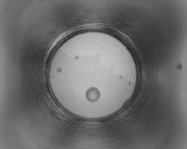 X0000116111168200912141013