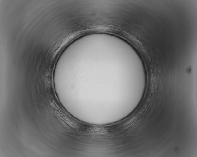 X0000116111170200912141013