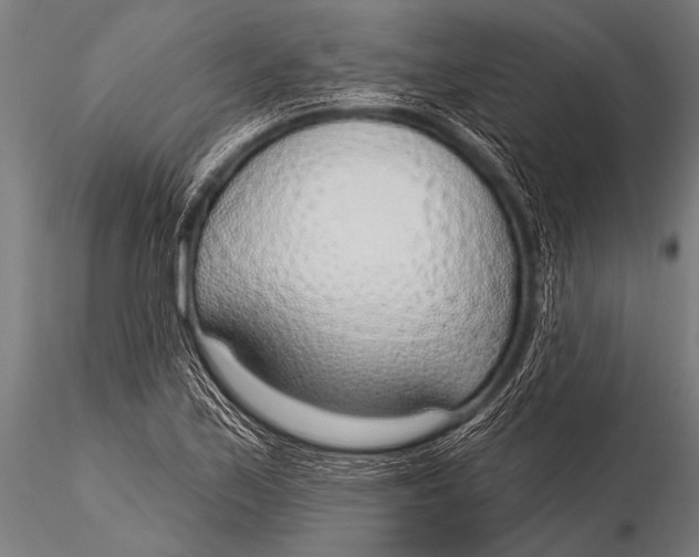 X0000116111171200912141013