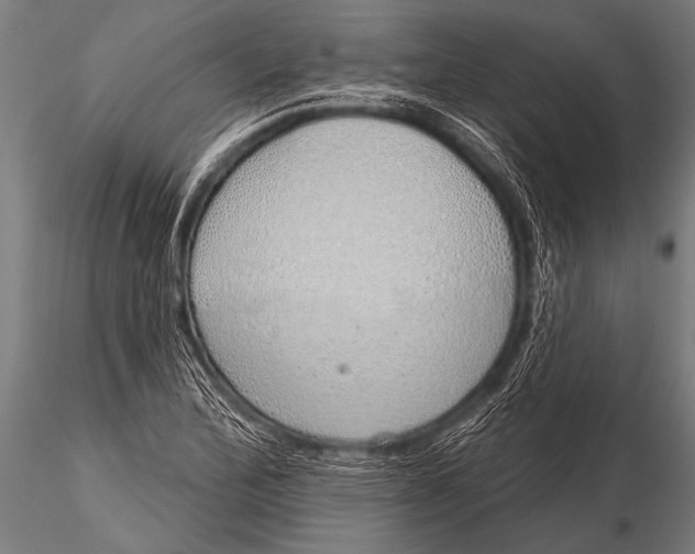 X0000116111172200912141013