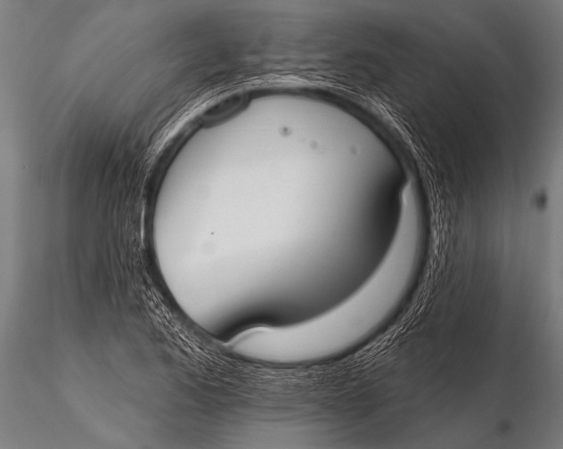 X0000116111173200912141013