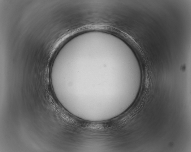 X0000116111174200912141013