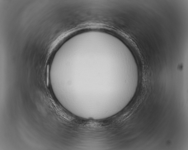 X0000116111175200912141013