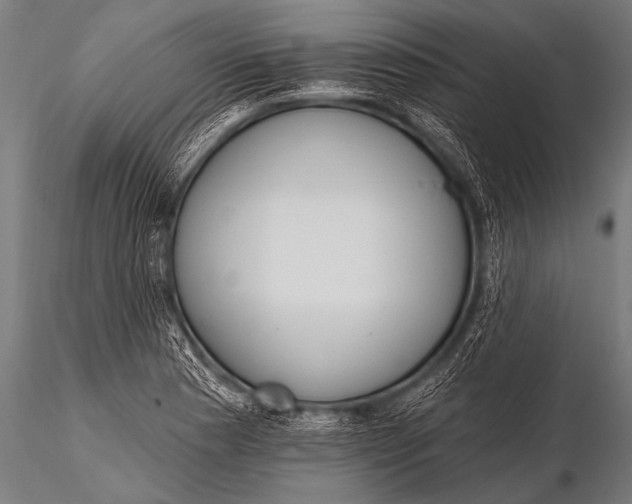 X0000116111177200912141013