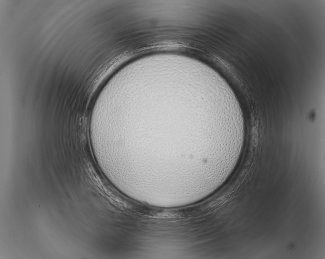 X0000116111178200912141013