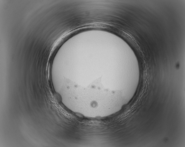 X0000116111180200912141013