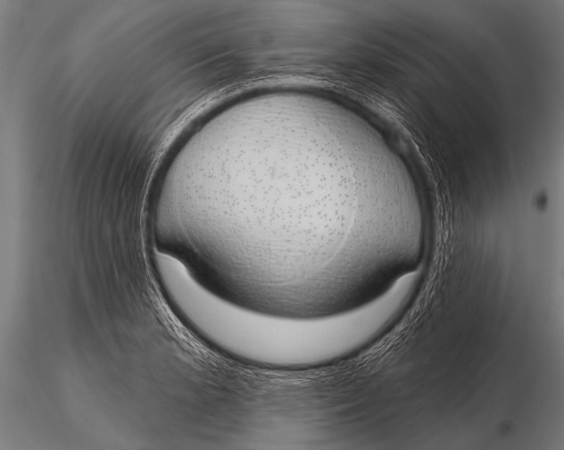 X0000116111181200912141013