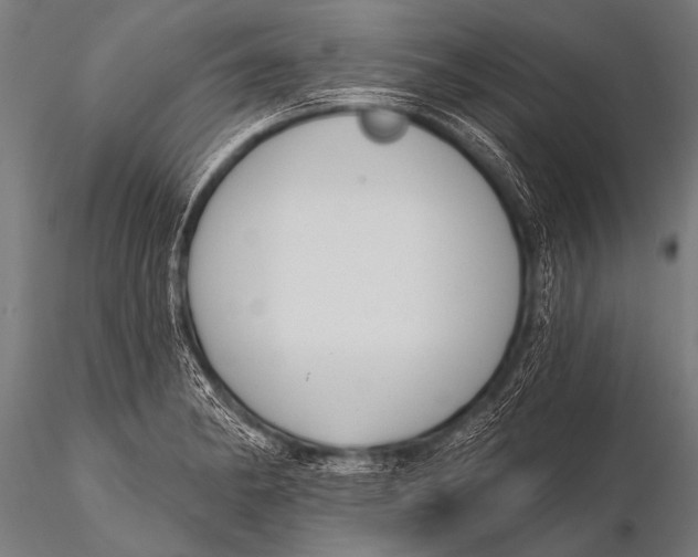 X0000116111182200912141013