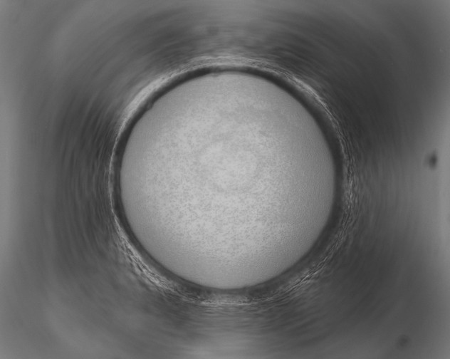 X0000116111183200912141013