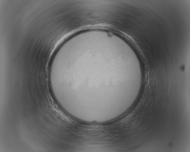 X0000116111184200912141013