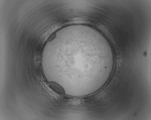 X0000116111185200912141013