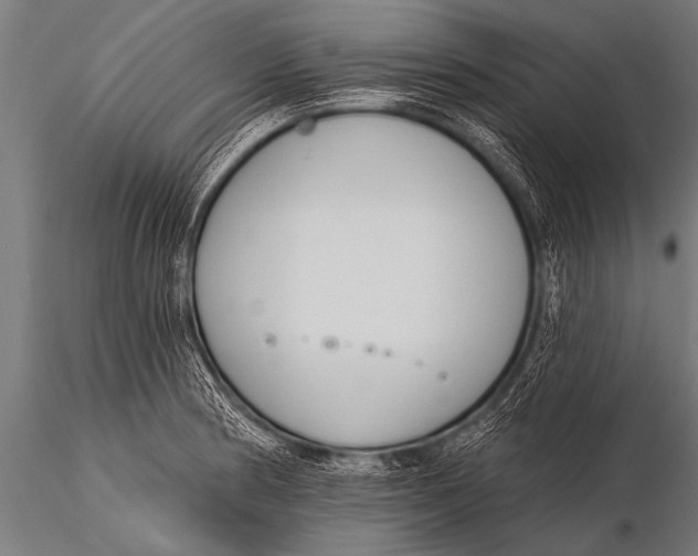 X0000116111186200912141013