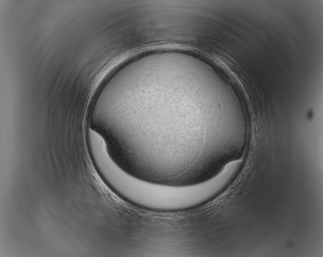 X0000116111189200912141013