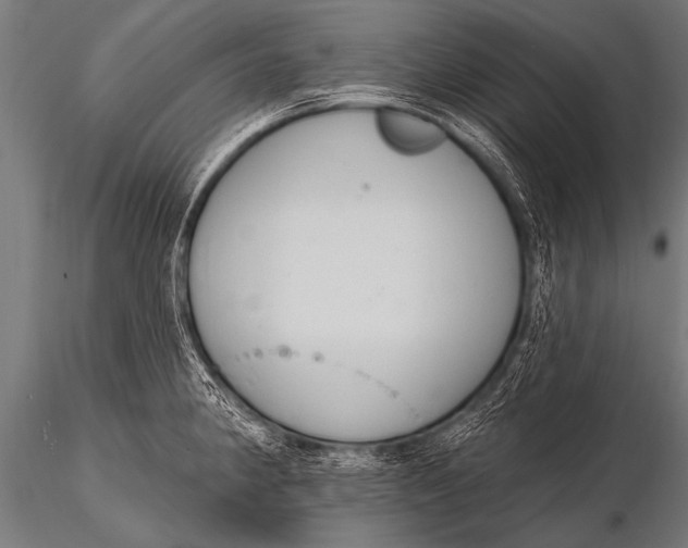 X0000116111190200912141013