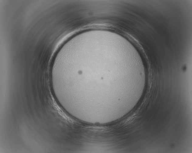 X0000116111192200912141013