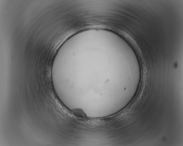 X0000116111193200912141013