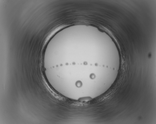 X0000116111195200912141013