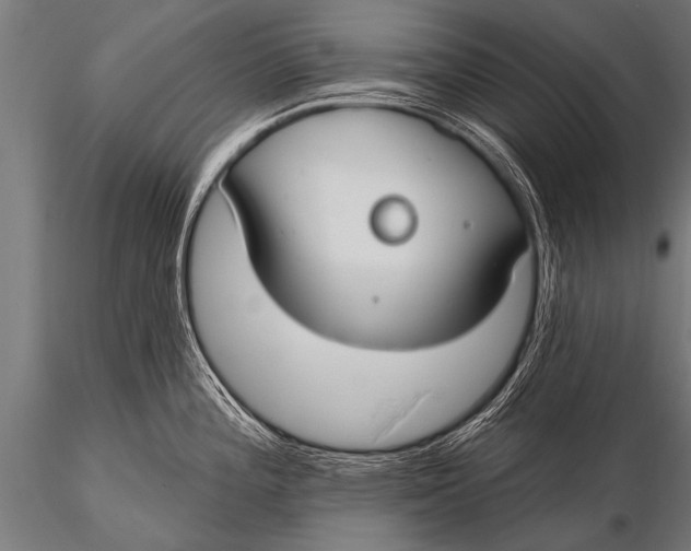 X0000116111196200912141013