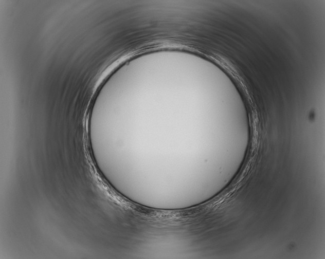 X0000116111198200912141013