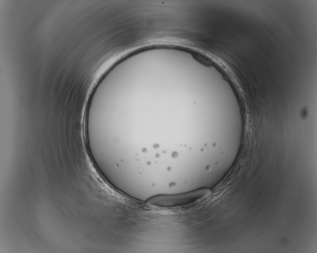 X0000116111199200912141013