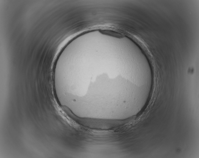 X0000116111200200912141013