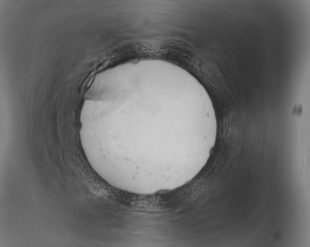 X0000116111201200912141012