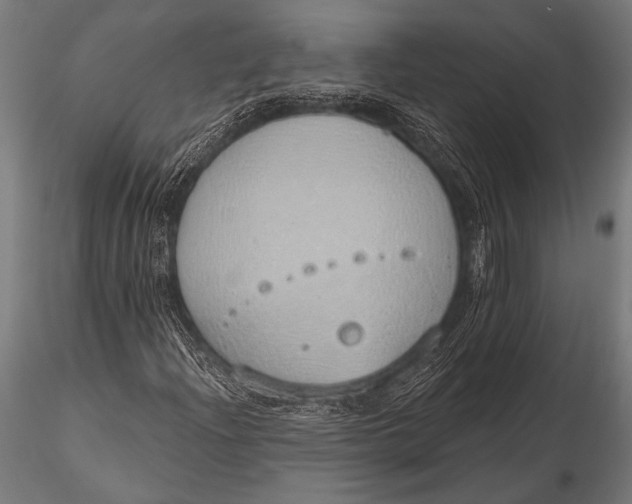 X0000116111204200912141012