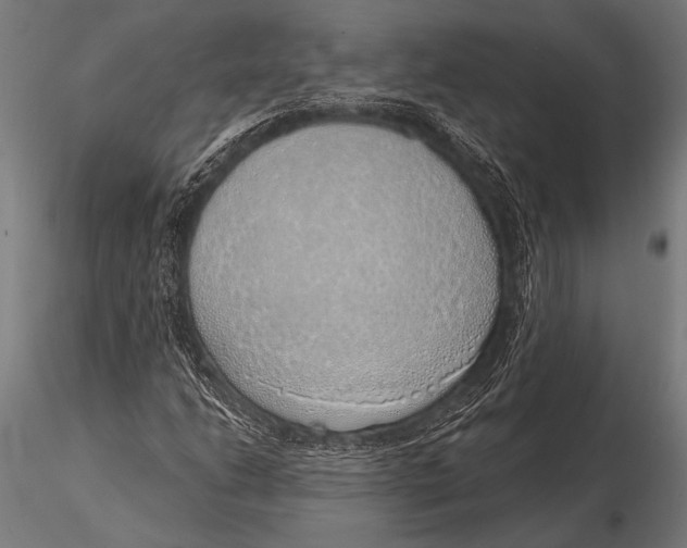 X0000116111206200912141012