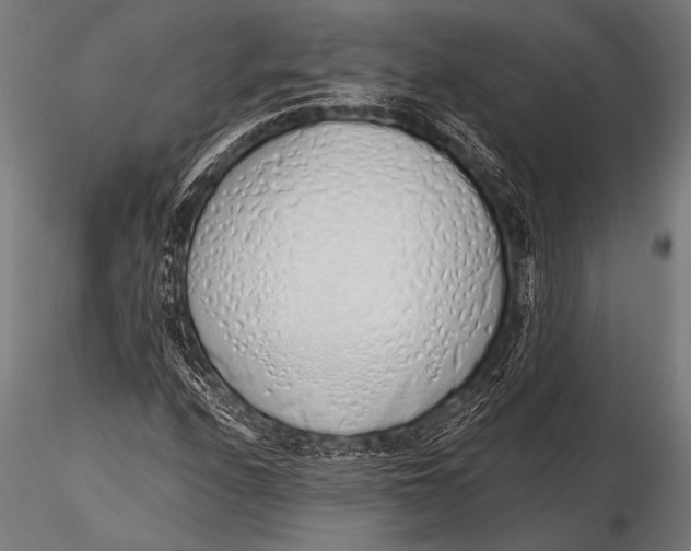 X0000116111208200912141012