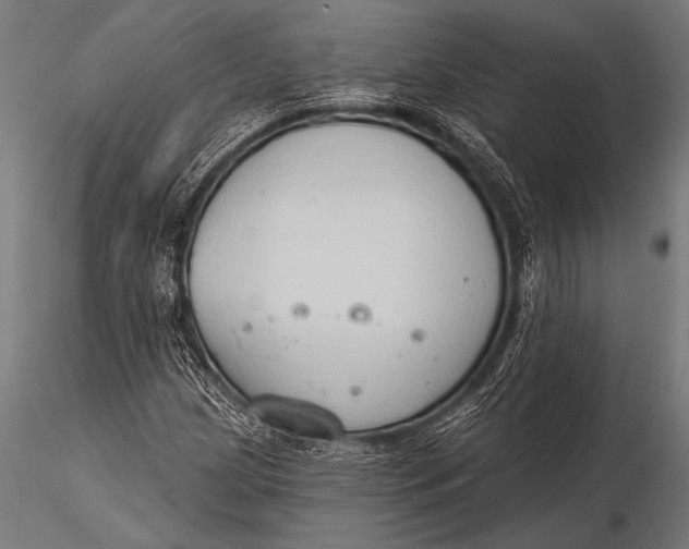 X0000116111209200912141012