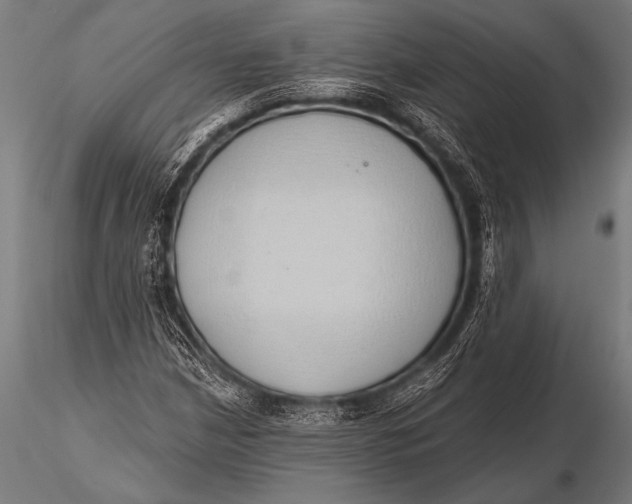 X0000116111210200912141012