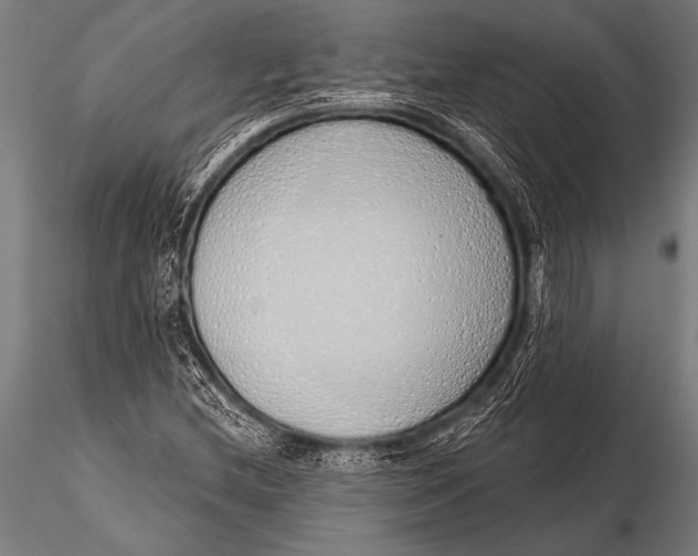 X0000116111212200912141012