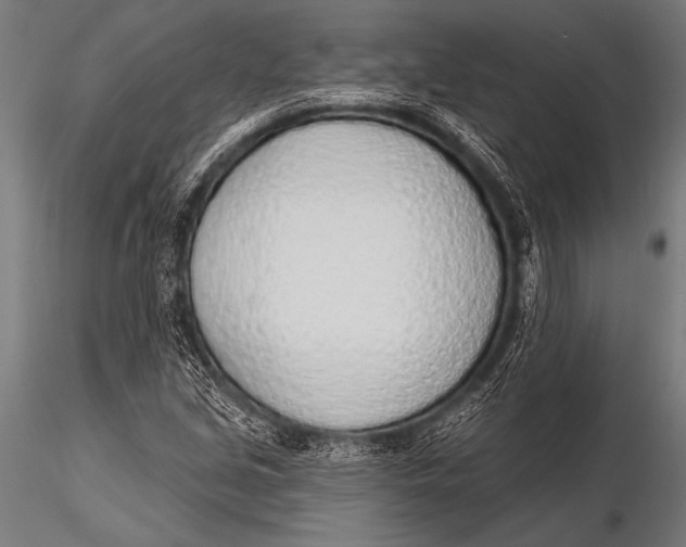 X0000116111213200912141012