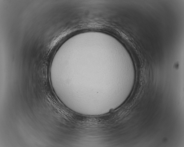 X0000116111214200912141012