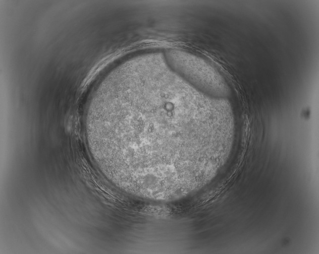 X0000116111215200912141012