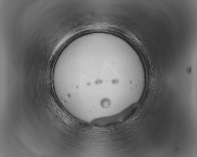 X0000116111216200912141012