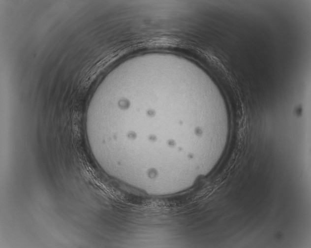 X0000116111217200912141012