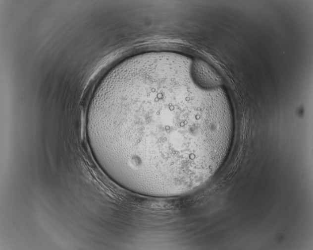 X0000116111219200912141012