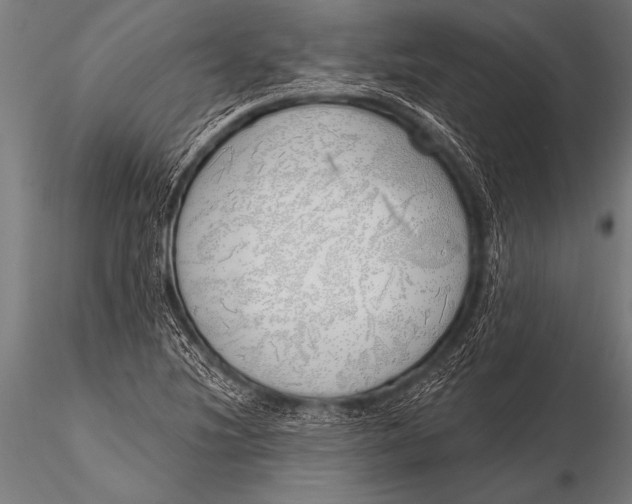 X0000116111220200912141012