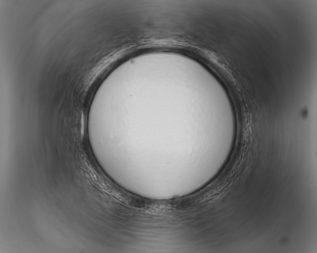 X0000116111221200912141012