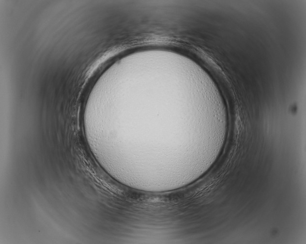 X0000116111222200912141012