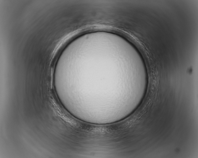 X0000116111223200912141012