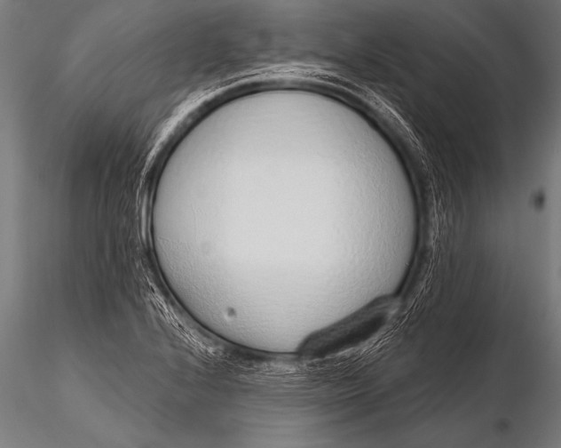 X0000116111224200912141012