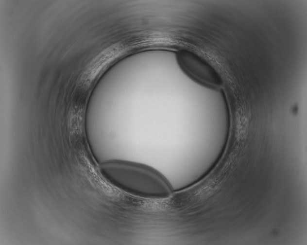 X0000116111225200912141012